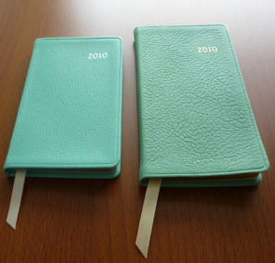 Tiffany Fortnum Manson Diary