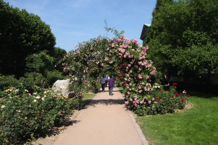 Modepilot Cerruti Herenschauen Paris Location Jardin des plantes