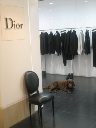 dior-paris-modepilot-blog-hund