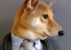 modepilot-blog-menswear-dog-hunde