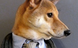 modepilot-blog-menswear-dog-hunde