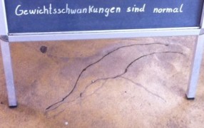 Alles halb so wild