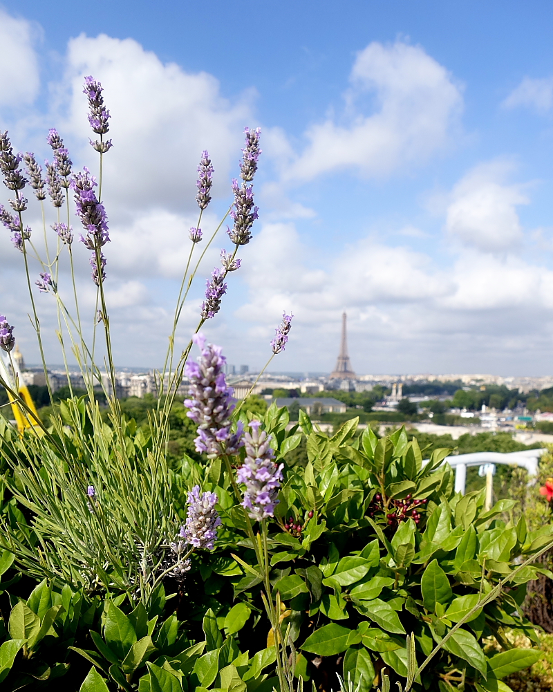 Meurice rooftop