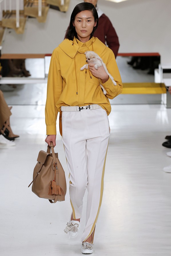 Welpenalarm bei Tod's