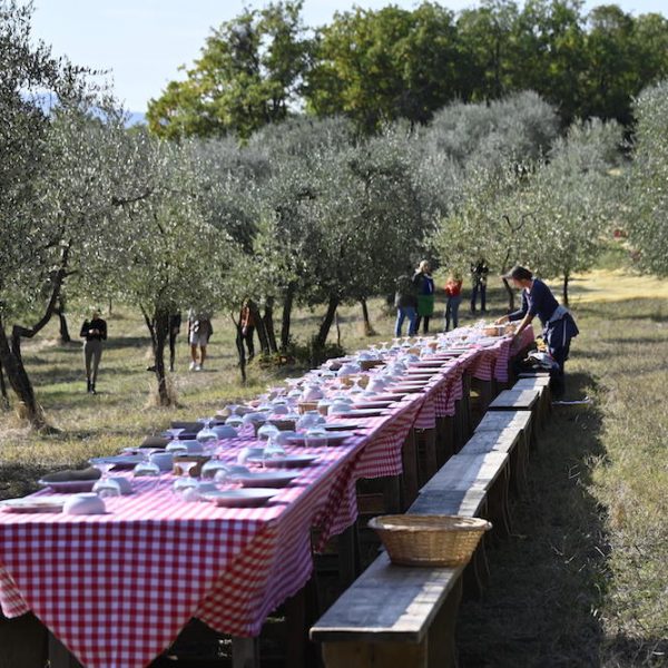 Neues vom Beauty Pro: Olivenernte in der Toskana