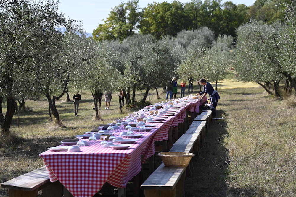 Polyphenole Modepilot Tafel Toskana