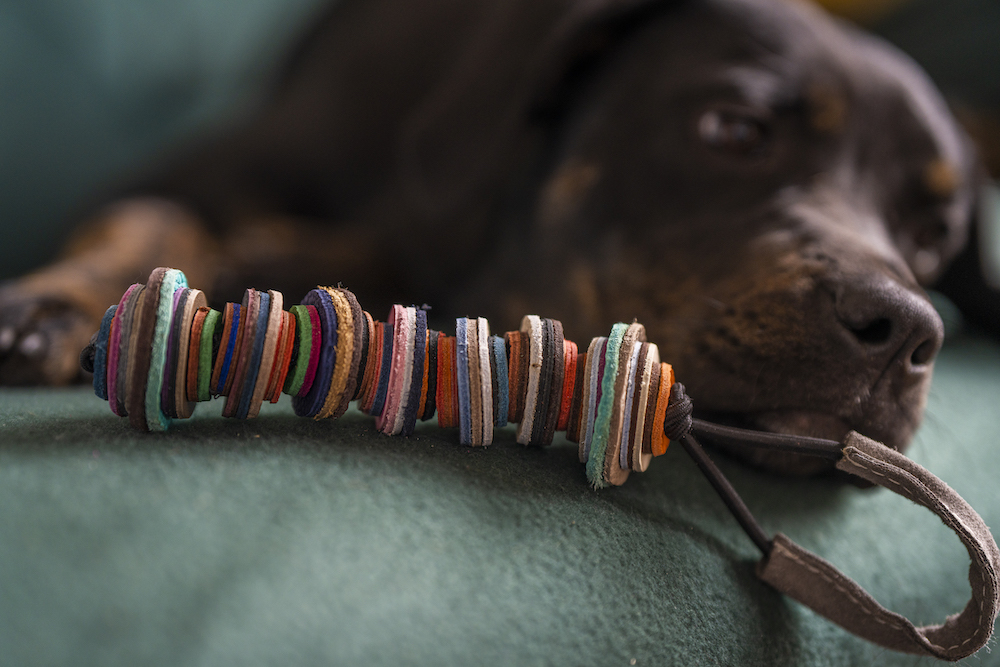 Hundespielzeug aus Leder Modepilot Adventskalender