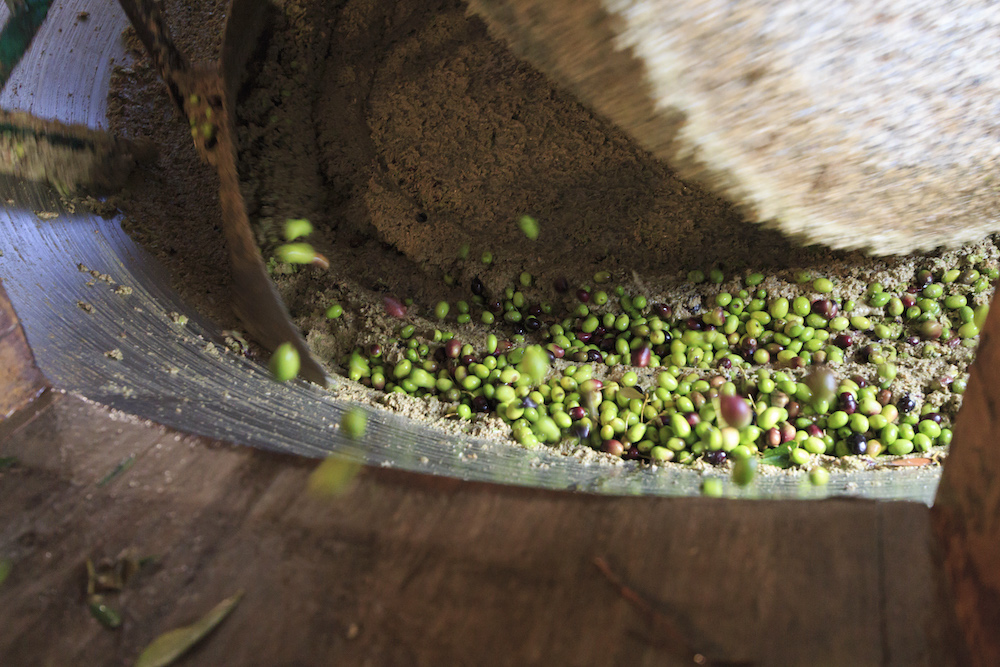 Fattoria La Vialla Polyphenole Modepilot