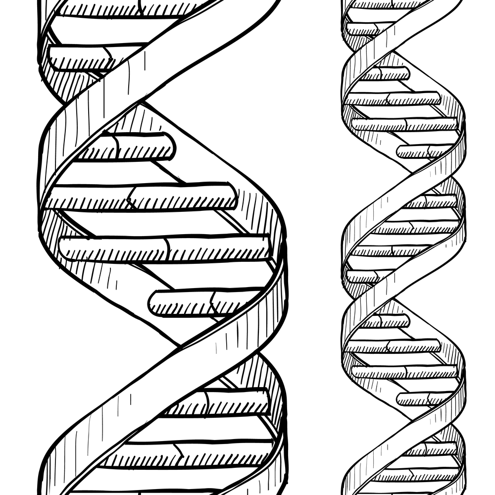 Doppelhelix Modepilot